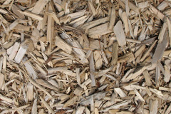 biomass boilers Radmore Wood